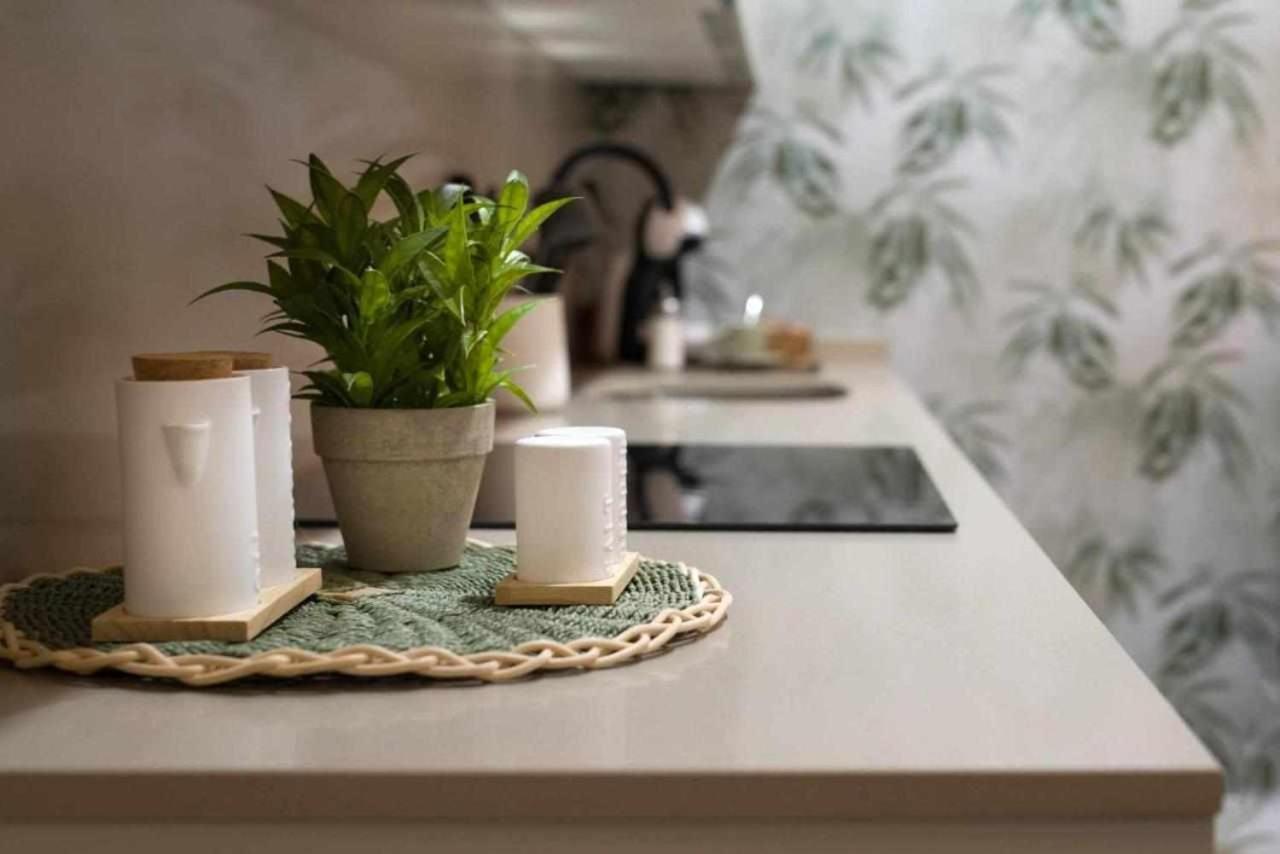 Apartamento Rural Isla Esencia De Bardenas Navarra Villafranca Εξωτερικό φωτογραφία