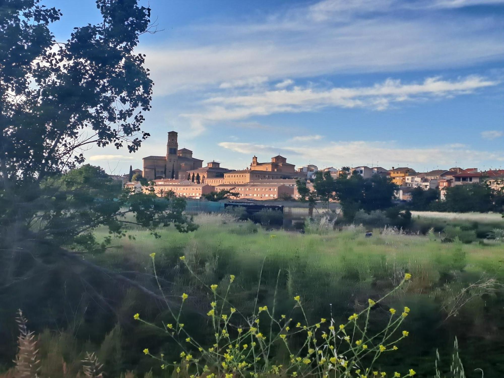 Apartamento Rural Isla Esencia De Bardenas Navarra Villafranca Εξωτερικό φωτογραφία